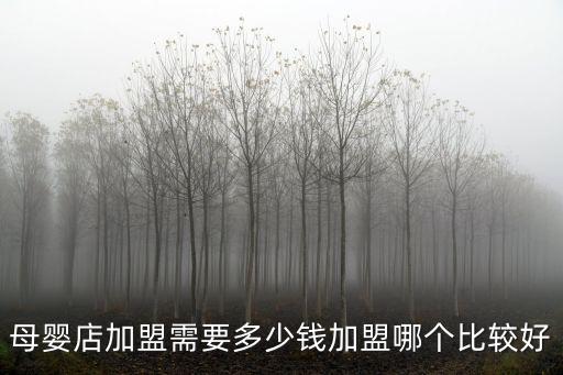 濟南加盟孕嬰店得多少錢,加盟哪個比較好