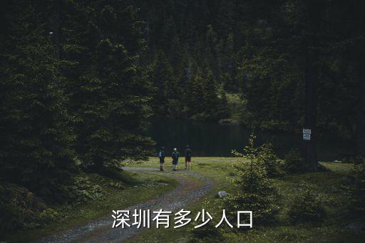 深圳有多少人口