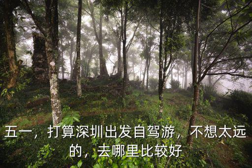 深圳哪里偏僻自駕游,打算深圳出發自駕游