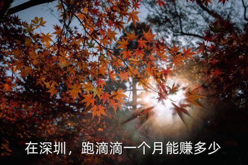在深圳，跑滴滴一個月能賺多少