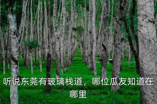 東莞哪里有玻璃橋多少錢,聽說東莞有玻璃棧道