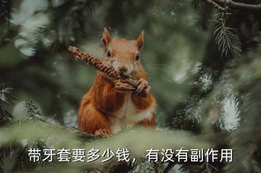 在揭陽戴牙套大概多少錢,帶牙套最低多少錢
