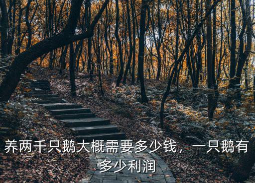 深圳30只鵝多少錢,養(yǎng)兩千只鵝大概需要多少錢