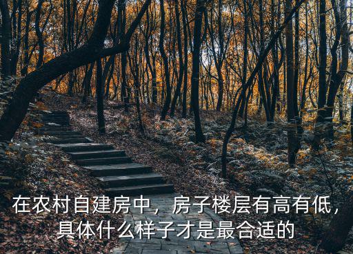 在農村自建房中，房子樓層有高有低，具體什么樣子才是最合適的