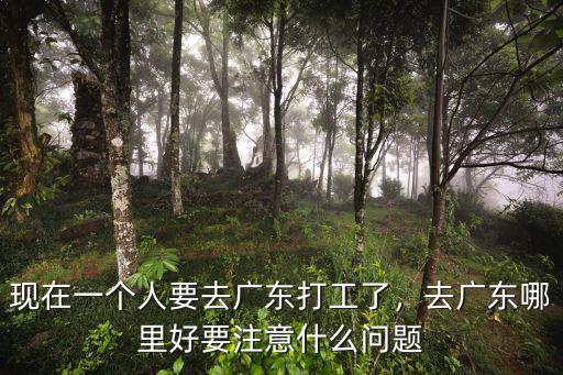 現在一個人要去廣東打工了，去廣東哪里好要注意什么問題