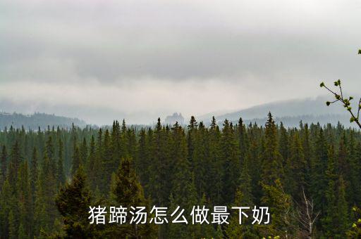 廣東人煲湯下奶湯怎么做,豬蹄湯怎么做最下奶