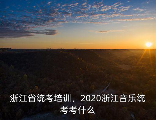 浙江省統考培訓，2020浙江音樂統考考什么