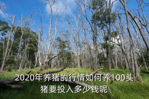 2020年養(yǎng)豬的行情如何養(yǎng)100頭豬要投入多少錢呢