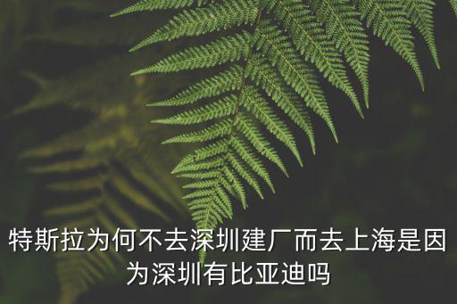 特斯拉為何不去深圳建廠而去上海是因為深圳有比亞迪嗎