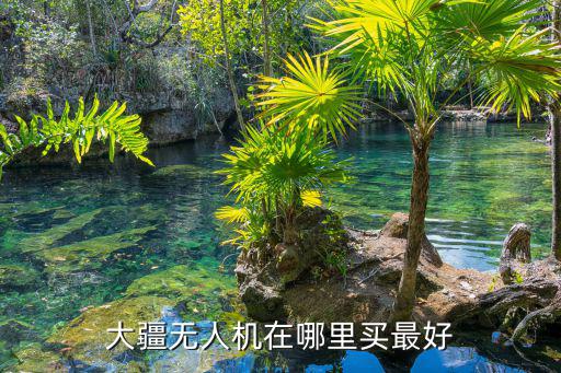 大疆無人機(jī)在哪里買最好