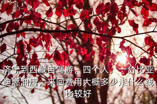 濟寧到西藏自駕游，四個人，一臺比亞迪燃油唐，來回費用大概多少走什么線比較好