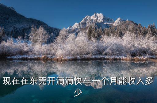 現在在東莞開滴滴快車一個月能收入多少