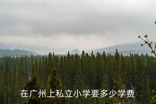 在廣州上私立小學要多少學費