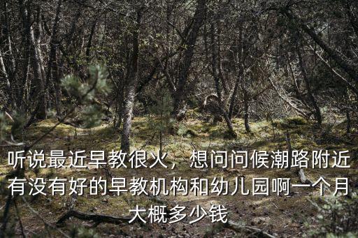 聽說最近早教很火，想問問候潮路附近有沒有好的早教機構和幼兒園啊一個月大概多少錢