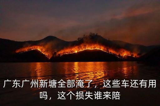 廣州哪里有賣水浸車,這些車還有用嗎