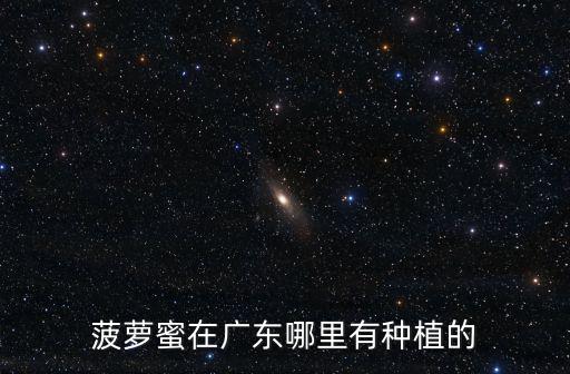 廣東哪里有種菠蘿蜜,菠蘿蜜在廣東哪里有種植的
