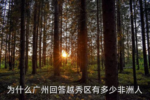 廣州黑人國家有多少人,廣州有多少黑人