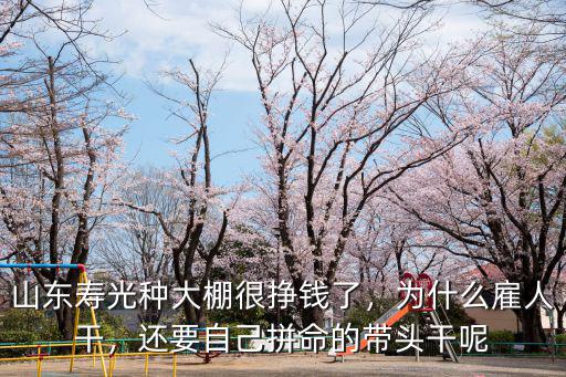 山東壽光種大棚很掙錢了，為什么雇人干，還要自己拼命的帶頭干呢