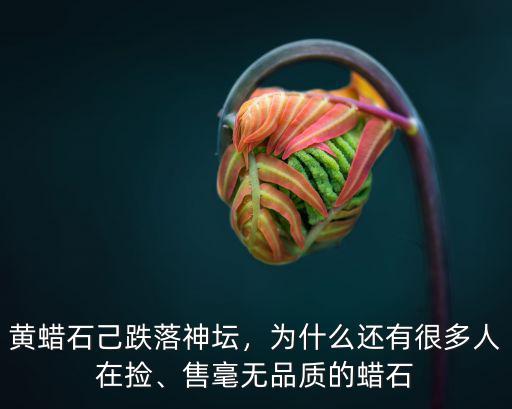 黃蠟石己跌落神壇，為什么還有很多人在撿、售毫無品質的蠟石
