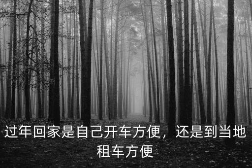 深圳租車回家過年怎么開,今年想從深圳租車回老家過年