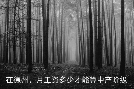 在德州，月工資多少才能算中產(chǎn)階級(jí)