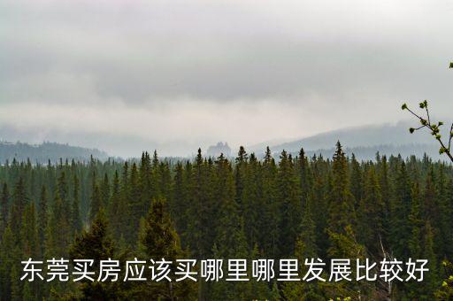 東莞碧桂園買房哪里最比較好,哪里發(fā)展比較好