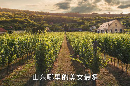 山東哪里的美女最多