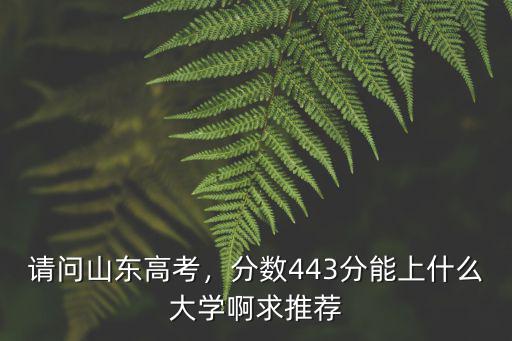 山東高考一般多少名能上本科,請問山東高考