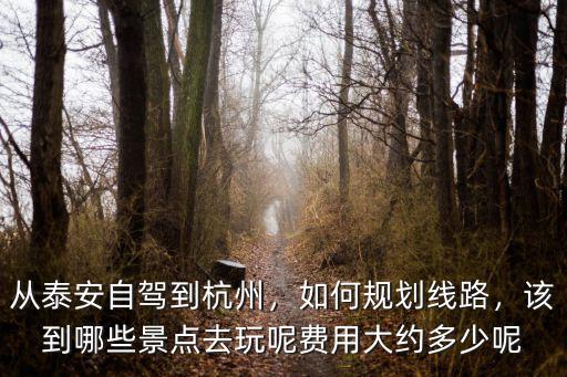 蒼山到泰安高速費大約多少,從泰安自駕到杭州