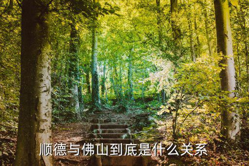 佛山順德大良區怎么樣,佛山的順德區發展的怎么樣