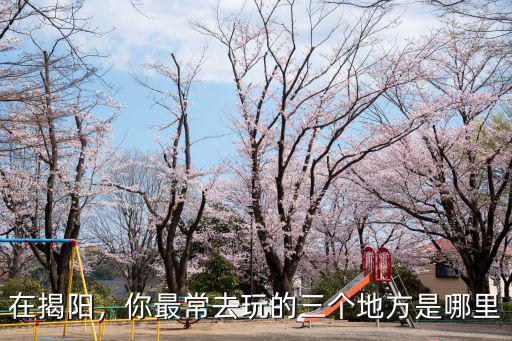 揭陽楊美村是哪里,揭陽屬于哪里
