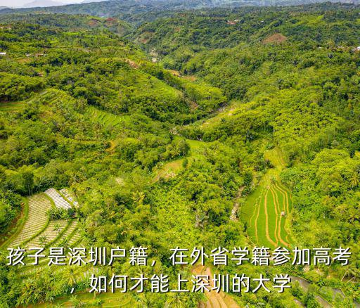 深圳大學怎么才能上,孩子是深圳戶籍