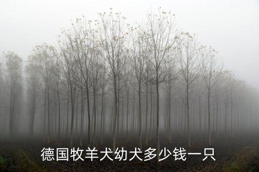德國牧羊犬幼犬多少錢一只