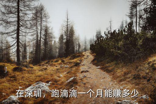 深圳一桶礦泉水能賺多少錢,跑滴滴一個月能賺多少