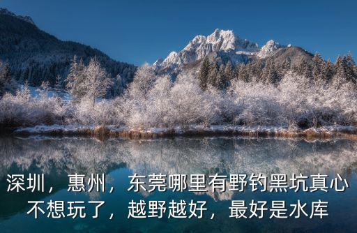 深圳，惠州，東莞哪里有野釣黑坑真心不想玩了，越野越好，最好是水庫(kù)