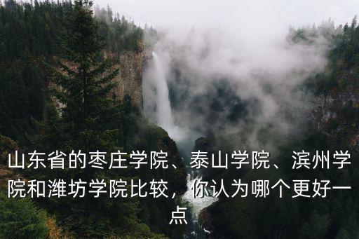 山東省的棗莊學院、泰山學院、濱州學院和濰坊學院比較，你認為哪個更好一點