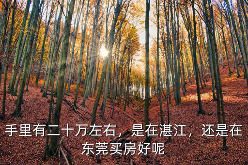 二十萬能在東莞哪里買房,手里有二十萬左右