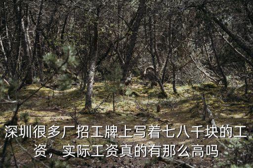 深圳進廠的話工資多少錢,深圳的工資一般都是多少