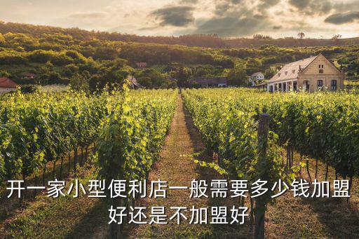 麗水便利店加盟多少錢,加盟便利店需要多少錢