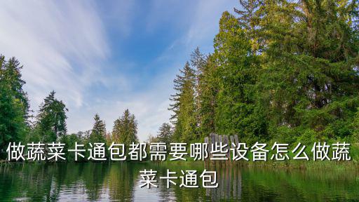 做蔬菜卡通包都需要哪些設備怎么做蔬菜卡通包