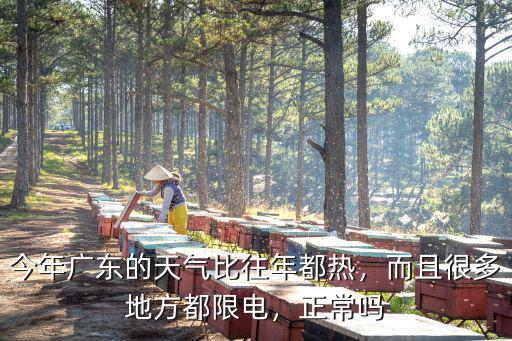 廣東今年天氣熱怎么辦,為什么最近廣東的天氣這么熱
