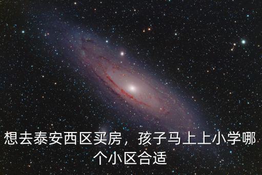 想去泰安西區(qū)買房，孩子馬上上小學(xué)哪個(gè)小區(qū)合適