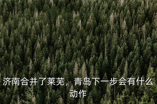 濟南合并了多少地方,濟南合并了萊蕪
