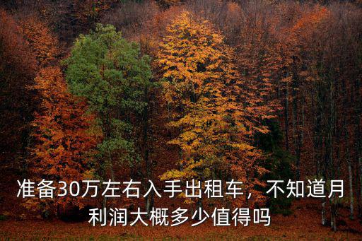 準備30萬左右入手出租車，不知道月利潤大概多少值得嗎