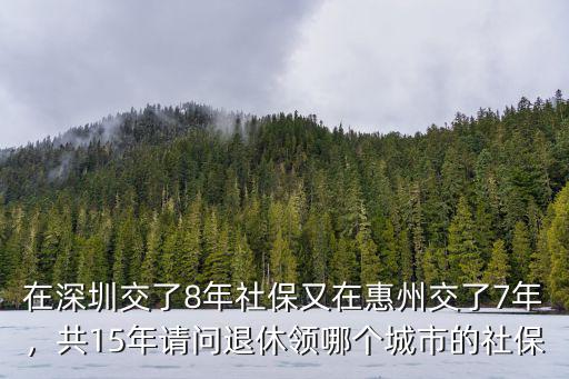 深圳在哪里交的社保,深戶在深圳交了十年社保