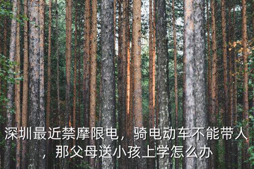 深圳最近禁摩限電，騎電動車不能帶人，那父母送小孩上學怎么辦