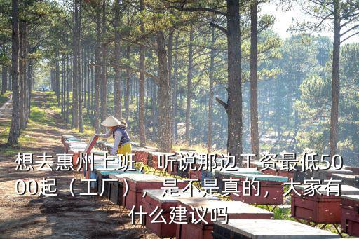 惠州工廠小時工工價多少,想去惠州上班