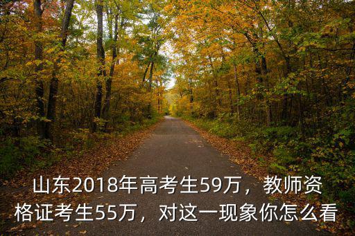 山東2019高考生多少人,山東2019年的高考生