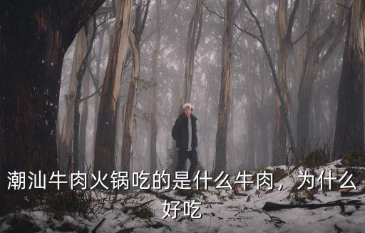 潮汕牛肉火鍋吃的是什么牛肉，為什么好吃