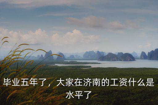 畢業五年了，大家在濟南的工資什么是水平了